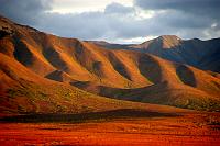 Denali National Park